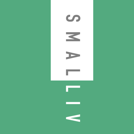 smalliv logo